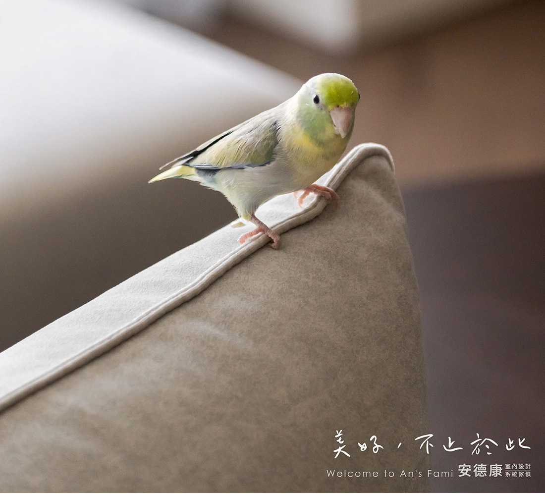 台南仁德CASA｜19坪三房兩廳，讓弧形與木質感融合的日常