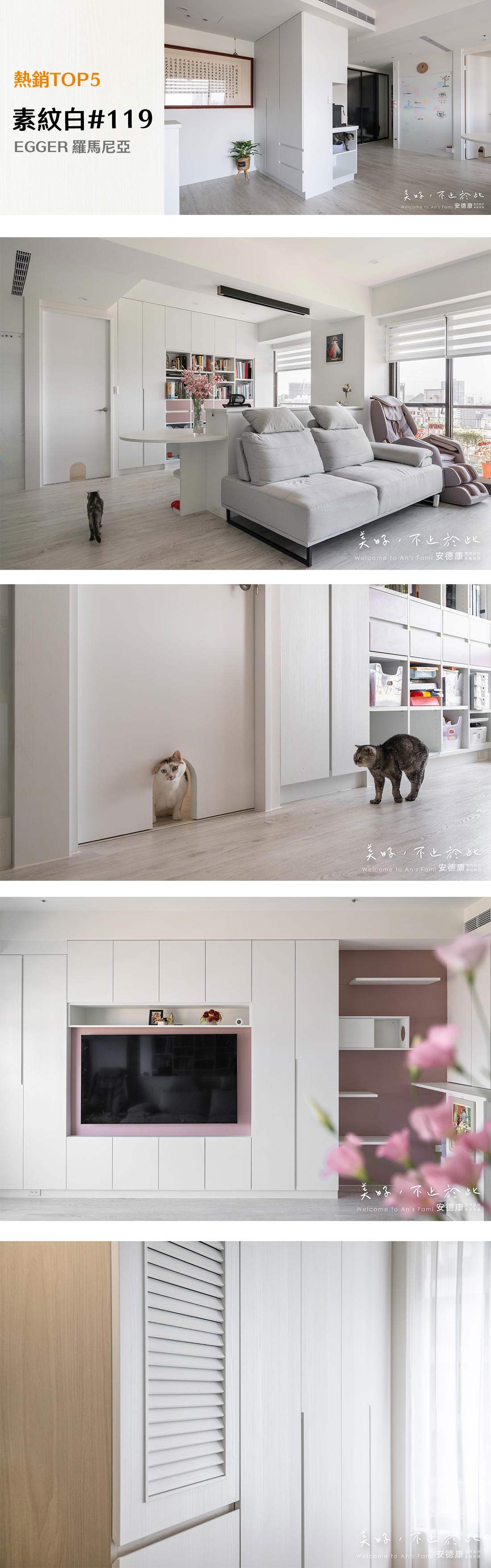 2025十大暢銷花色